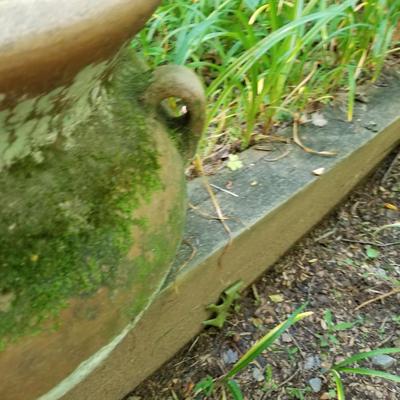 Large Planter Pot