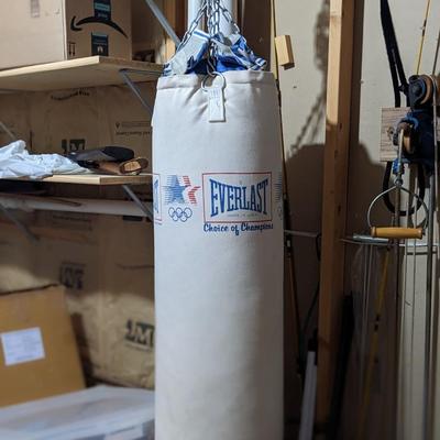Everlast Punching Bag