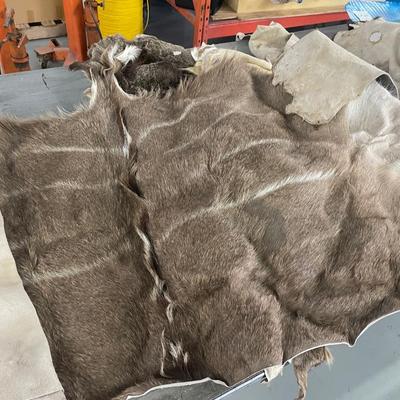 Lot of Assorted Animal Hides