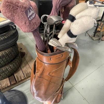 Bag of Assorted Womenâ€™s Golf Clubs