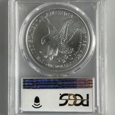 2021 SILVER EAGLE TYPE 2 S