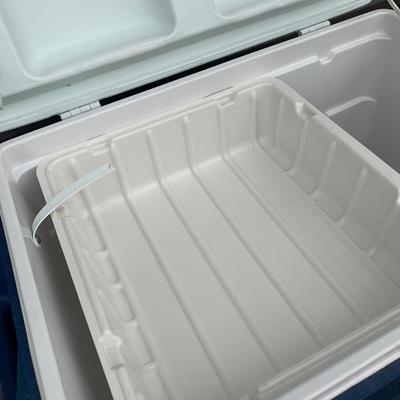 NICE IGLOO AND GOTT COOLERS