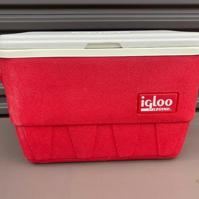 NICE IGLOO AND GOTT COOLERS