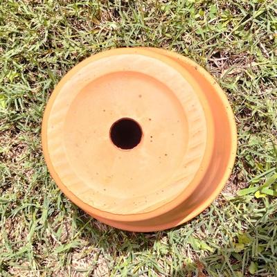 Flower Pot