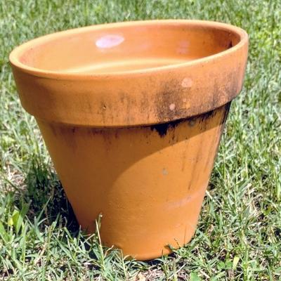 Flower Pot