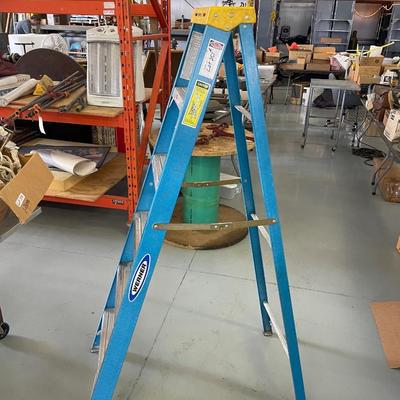 Werner Folding Step Ladder