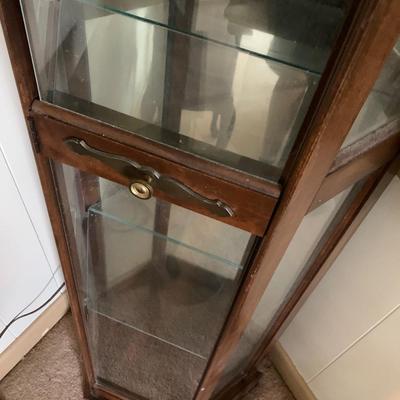 Light Up Glass Curio Display Case