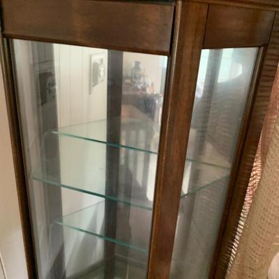 Light Up Glass Curio Display Case