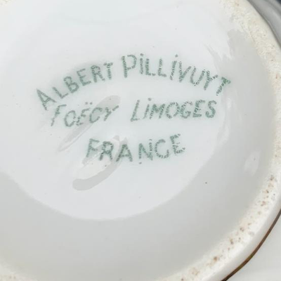 Beautiful Albert Pillivuyt Foecy Limoges France Tea Set