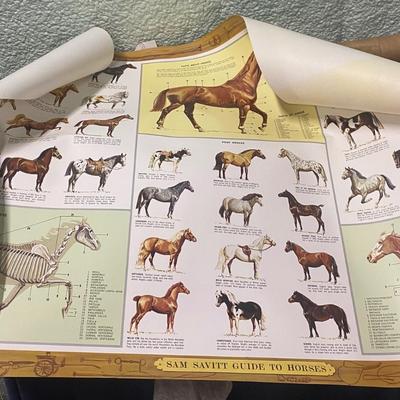 2 Horse Posters