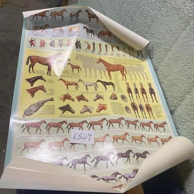 2 Horse Posters