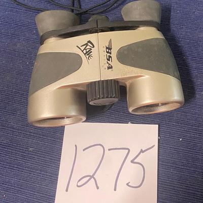 BSA Rave Binoculars