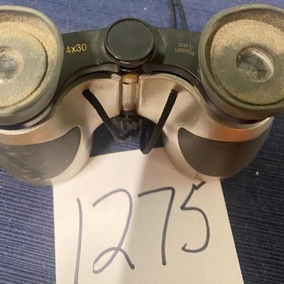 BSA Rave Binoculars