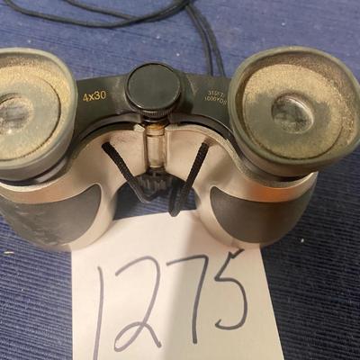 BSA Rave Binoculars
