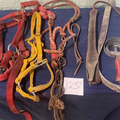 Halters