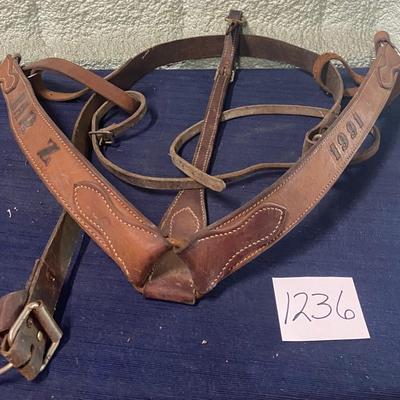 Breast Collar and Back Girth