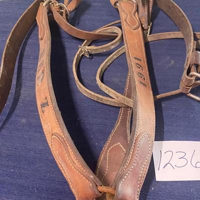 Breast Collar and Back Girth