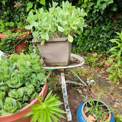 3 Planters and 1 Metal Plant stand