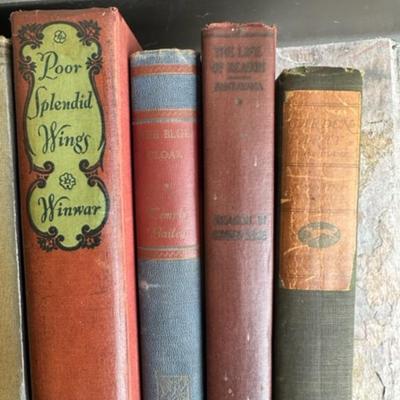 Lot of Vintage books