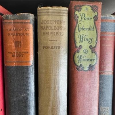 Lot of Vintage books