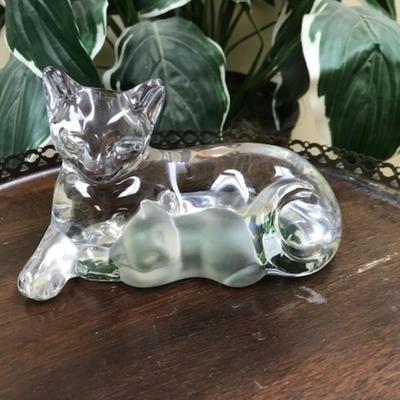 Crystal Lenox cat