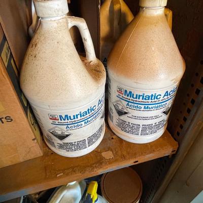 Shelf Lot of Cleaners/Chemicals/Muriatic Acid for rust/stain removal Pool Use