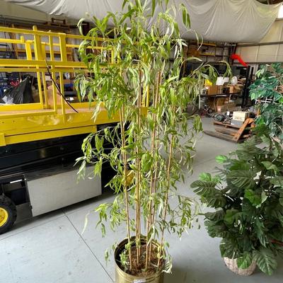 Bamboo style 6' Tree/Plant in Brass Bucket/Pot