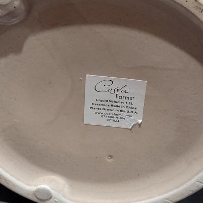 Costa Farms Ceramic Pot