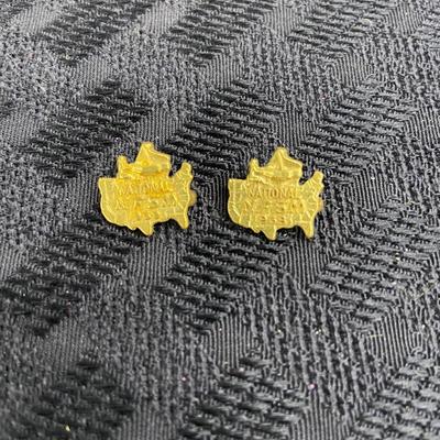 Vintage National NFSM pins