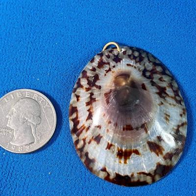 PRETTY REAL SEASHELL PENDANT DOMED SHAPE