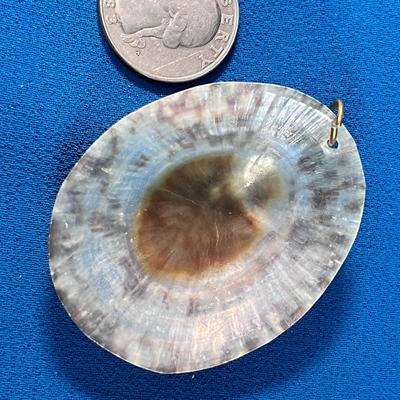 PRETTY REAL SEASHELL PENDANT DOMED SHAPE