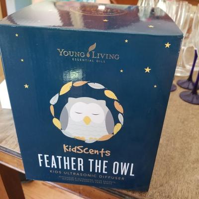 Young Living Diffuser