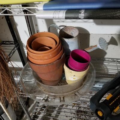 Outdoor Plant Care