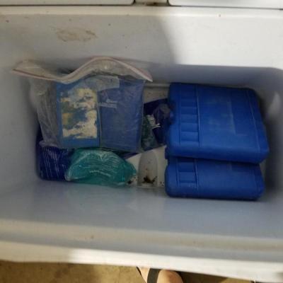 Cooler & Ice Packs