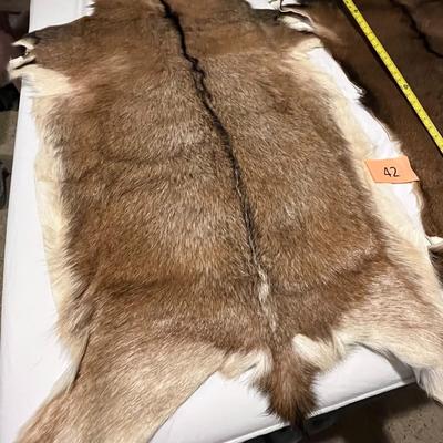 Tanned Goat Hides Set of 2