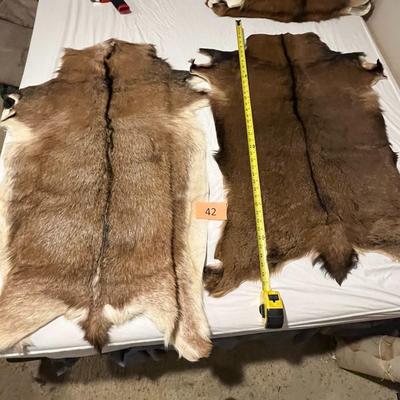 Tanned Goat Hides Set of 2