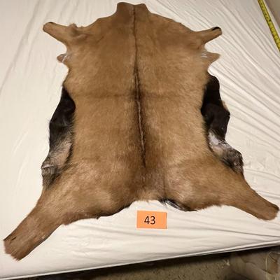 Goat Hide by Sunshine Cowhides