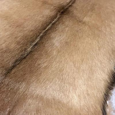 Goat Hide by Sunshine Cowhides