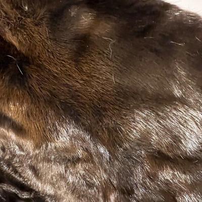 Beaver Hides