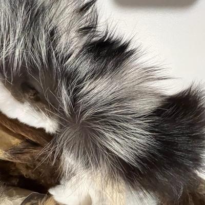 Box of Scrap Craft Fur