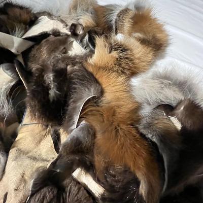 Large Box of Scrap Fur