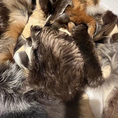 Large Box of Scrap Fur