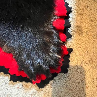 Black Bear Rug/Mount