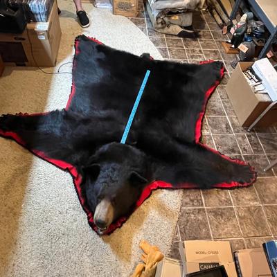Black Bear Rug/Mount