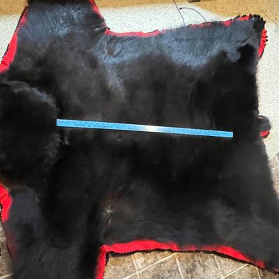 Black Bear Rug/Mount