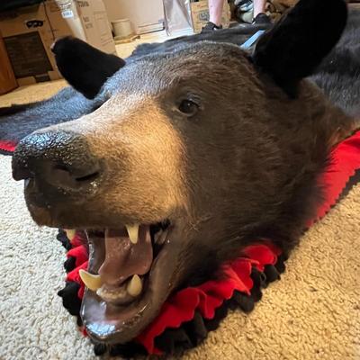 Black Bear Rug/Mount