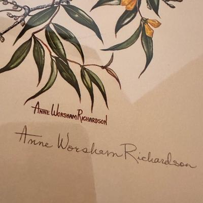 VINTAGE ANNE WORSHAM RICHARDSON UNFRAMED PRINT LOT