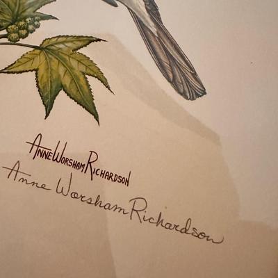 VINTAGE ANNE WORSHAM RICHARDSON UNFRAMED PRINT LOT