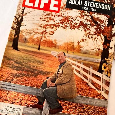 VINTAGE LIFE MAGAZINE LOT 1965