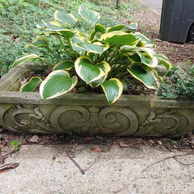 Concrete Planter